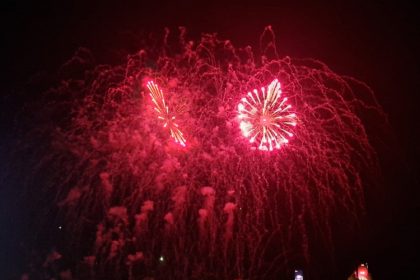 primaria constanta renunta la artificiile din noaptea revelion pentru protejarea animalelor 6901e9c95edd9