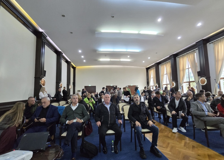 psd s a abtinut de la votul pentru contractarea unor servicii de avocatura pentru cjc reactia lui mitroi mai aveau sa inceapa circ in consiliul judetean ca in partid il au 68fff47730d93