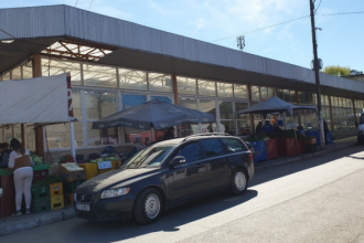 scandal socant in piata la medgidia a stropit 3 tone de pepeni cu benzina si a amenintat cu moartea te fac zombi iti dau foc 68ec34c22a49f