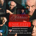 spectacolul arlechino unde esti in premiera la constanta cu mihai gruia sandu in prim plan 68e5141aeff79