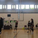 totul despre campionatele de volei la nivel juvenil in care evolueaza reprezentantele judetului constanta documente 68dfd7a9a6340