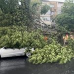 un copac a cazut peste o masina in km 4 68e56f0ecd4cc