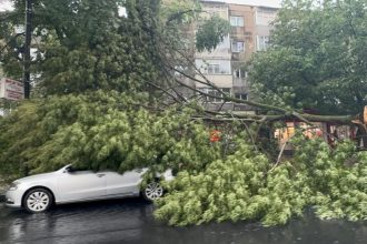 un copac a cazut peste o masina in km 4 68e56f0ecd4cc