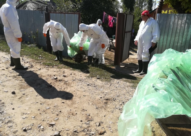 un focar de pesta porcina africana a fost confirmat in localitatea nicolae balcescu 68f1715ce8f66