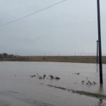 video pompierii au evacuat pe brate locuitorii afectati de inundatii din silistea 68e64c8e11f1c