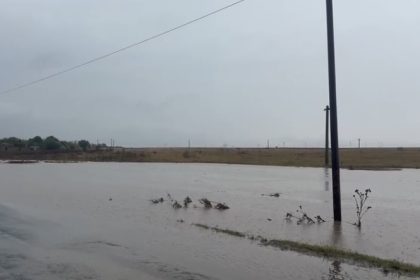 video pompierii au evacuat pe brate locuitorii afectati de inundatii din silistea 68e64c8e11f1c