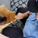 zeci de cazuri de cruzime fata de animale la constanta 19 dosare penale si peste 45 de caini si pisici salvate 68e9828369a0f