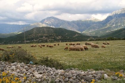 28 noiembrie republica albania ziua cuceririi independentei 69296b17775cc