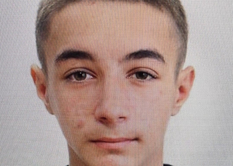 a plecat dintr un centru de plasament si a disparut l ati vazut 692ade59487a7