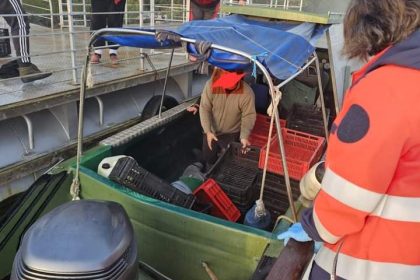 accident grav in delta doua ambarcatiuni s au ciocnit iar un barbat a intrat in coma 692426045f424