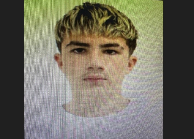 acest minor a disparut din nou dintr un centru de plasament din constanta 691c3b0322824