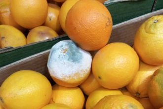 actiuni anpc in perioada 24 28 noiembrie 2025 peste 2 170 de operatori economici verificati si amenzi de aproximativ 545 milioane de lei 6929bf6aeadac