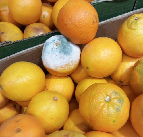 actiuni anpc in perioada 24 28 noiembrie 2025 peste 2 170 de operatori economici verificati si amenzi de aproximativ 545 milioane de lei 6929bf6aeadac