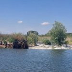 agricultorii au invins turismul la mahmudia instanta a hotarat definitiv refacerea digului desi acesta a dus la dezvoltarea zonei 690e8e81e3e95