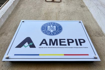 anisoara ulceluse numita presedinte al amepip pentru un mandat de patru ani 6929459037a32