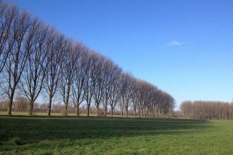 autoritatile locale pot accesa 2 milioane de euro pentru protejarea drumurilor din arealul iti delta dunarii 6909ee671ce2e