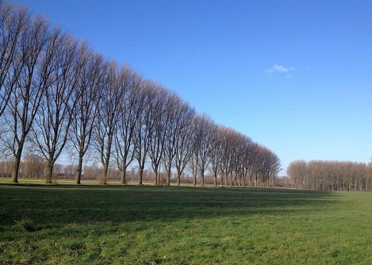 autoritatile locale pot accesa 2 milioane de euro pentru protejarea drumurilor din arealul iti delta dunarii 6909ee671ce2e