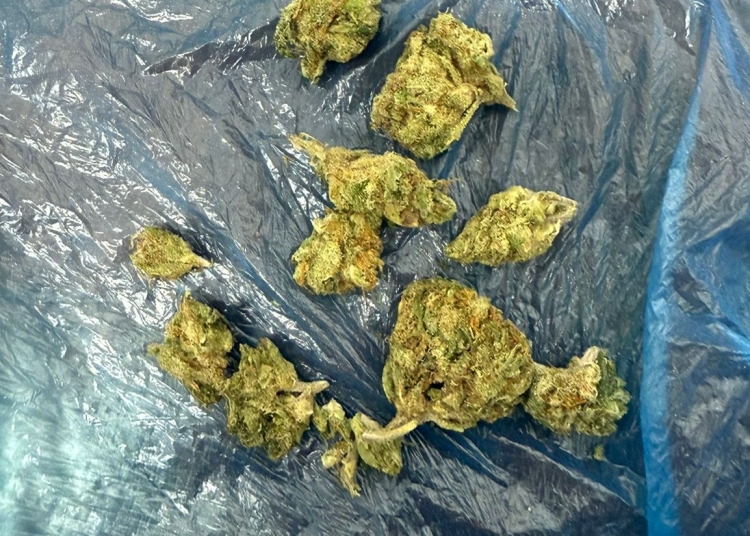 barbat prins de jandarmi intr o sala de jocuri din constanta avand asupra sa substante susceptibile a fi interzise 690b1de7c425e