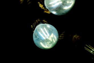 ce localitati din judetul constanta raman fara curent electric in perioada 28 noiembrie 5 decembrie 69294a07658b7