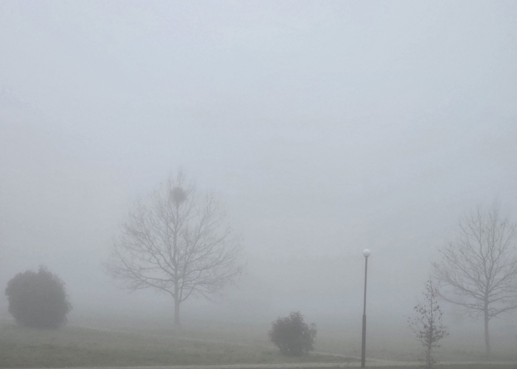 cod galben de ceata in judetul constanta iata zonele afectate 6905a6b3d4383