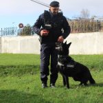 danko cainele jandarmilor tulceni a absolvit cursul de patrulare interventie 6924780f2efc7