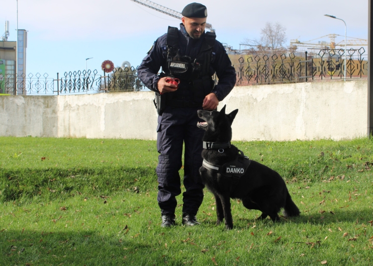 danko cainele jandarmilor tulceni a absolvit cursul de patrulare interventie 6924780f2efc7