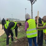 de ziua dobrogei arbori plantati in parcul din cartierul veterani foto 69174b97cbad6