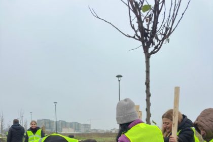 de ziua dobrogei arbori plantati in parcul din cartierul veterani foto 69174b97cbad6