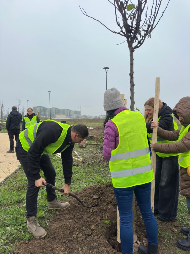 de ziua dobrogei arbori plantati in parcul din cartierul veterani foto 69174b97cbad6