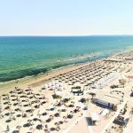 detalii din dosar un rival de al lui muschiulet din navodari din nou in prim plan din cauza geloziei 690be34f7775e