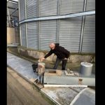 dsvsa constanta prelevari de probe in cadrul programului de supraveghere pentru determinarea reziduurilor de pesticide 691c46a1a16df