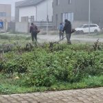 echipele gospodariei comunale din valu lui traian in actiune pentru curatenia si ingrijirea localitatii foto 69257ebd35ded
