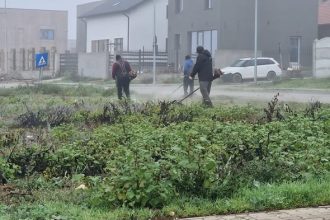echipele gospodariei comunale din valu lui traian in actiune pentru curatenia si ingrijirea localitatii foto 69257ebd35ded