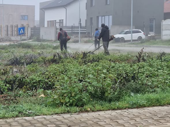 echipele gospodariei comunale din valu lui traian in actiune pentru curatenia si ingrijirea localitatii foto 69257ebd35ded