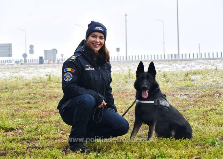 frontiera mai multi cetateni straini nu au fost lasati sa intre in tara 690da4ca16a57