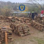 furt de lemne la pietreni politistii au descins la locuintele suspectilor 690df6d380d17