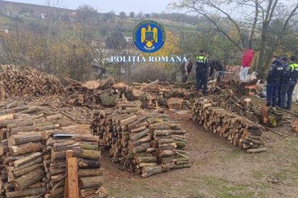 furt de lemne la pietreni politistii au descins la locuintele suspectilor 690df6d380d17