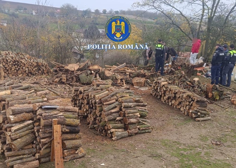 furt de lemne la pietreni politistii au descins la locuintele suspectilor 690df6d380d17
