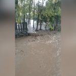 inundatii severe in istria judetul constanta localnicii reclama neglijenta autoritatilor si pasarea responsabilitatii 6915f31f125c8