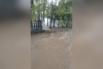 inundatii severe in istria judetul constanta localnicii reclama neglijenta autoritatilor si pasarea responsabilitatii 6915f31f125c8