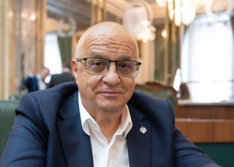 ionut mosteanu criticat dur de senatorul felix stroe 6929aecfc3c1b