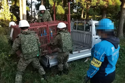 japonezii vor sa foloseasca drone care latra pentru a alunga ursii care intra in orase 692c2b26b40f8