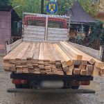 lemne transportate ilegal confiscate de politisti intre localitatile negureni si ion corvin 691464aa2e6ee