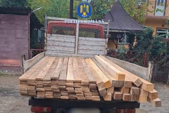 lemne transportate ilegal confiscate de politisti intre localitatile negureni si ion corvin 691464aa2e6ee