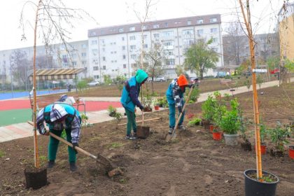 noi arbori si arbusti ornamentali au fost plantati in cartierul inel ii foto 69298d39a437d