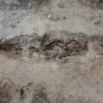 o femeie din epoca vikingilor ingropata alaturi de cainele ei intr un mormant barca 691b2f7dce0f8