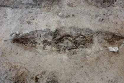 o femeie din epoca vikingilor ingropata alaturi de cainele ei intr un mormant barca 691b2f7dce0f8