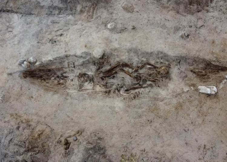 o femeie din epoca vikingilor ingropata alaturi de cainele ei intr un mormant barca 691b2f7dce0f8