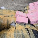 politistii de frontiera din giurgiu au confiscat peste 10 000 de produse contrafacute 692ac29836b27