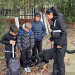 politistii din constanta alaturi de elevi lectii despre siguranta si responsabilitate in preajma scolilor 6916370864820